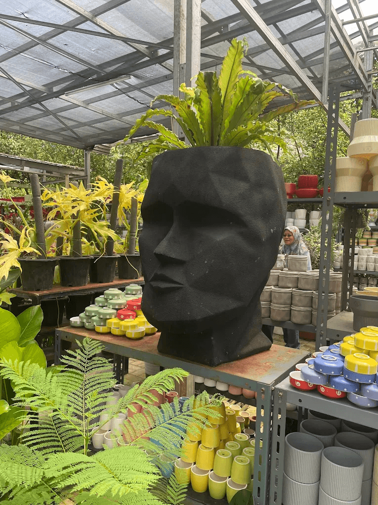 Botanical plant display at Tandur Tandur Kian Mas