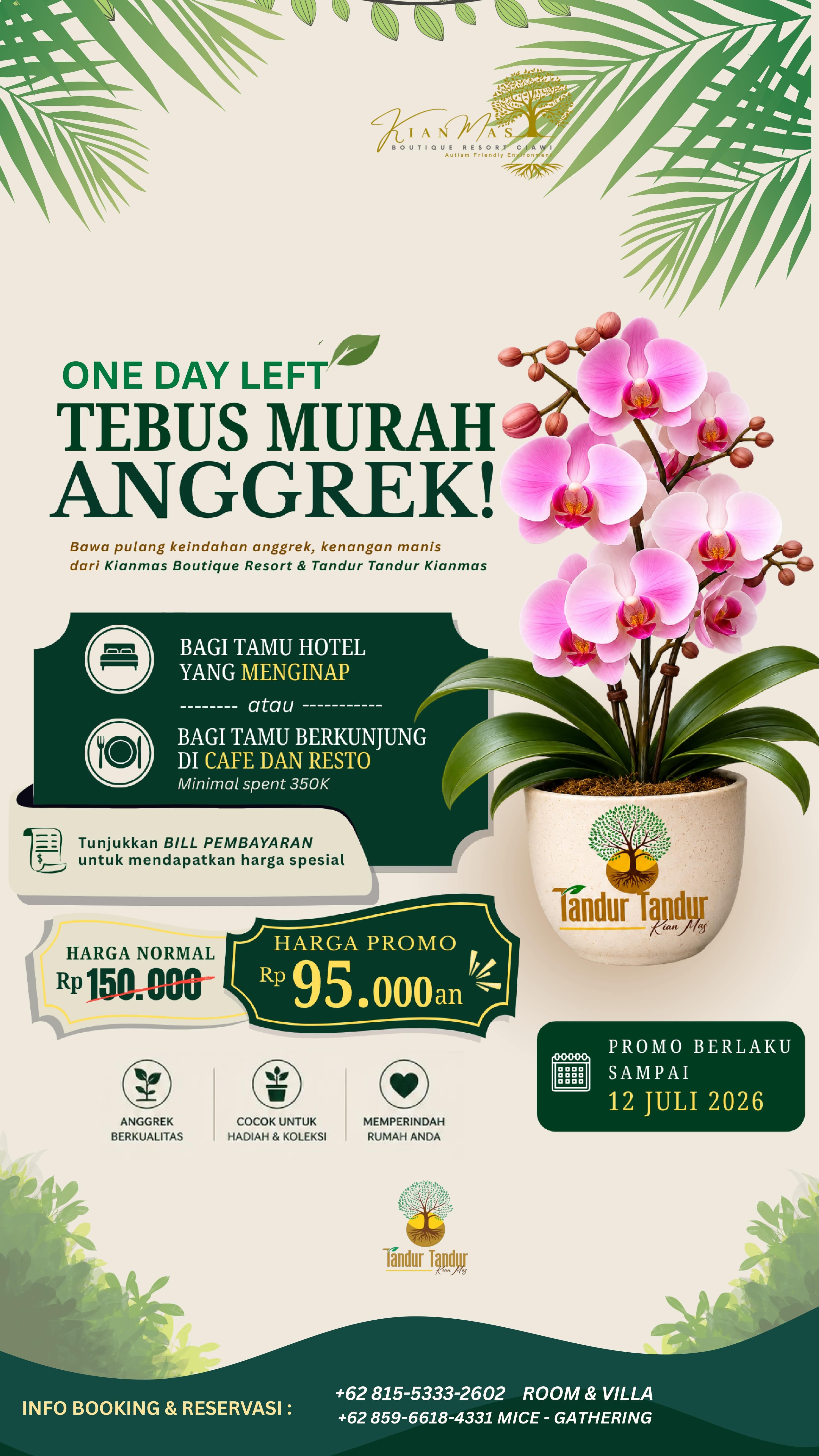 Tandur Tandur orchid special promotion