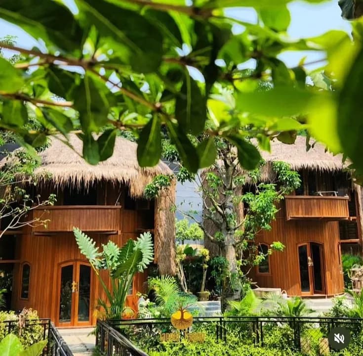 Wooden resort cottages surrounded by tropical greenery